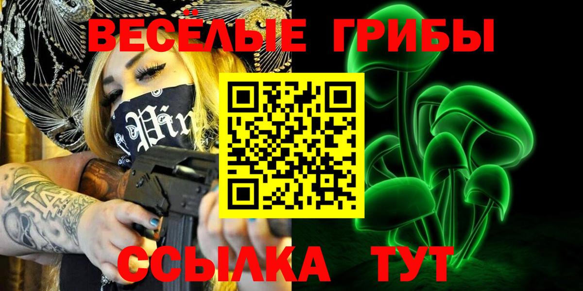 Галлюциногенные грибы Psilocybe  Вход с VPN  Галлюциногенные грибы Magic Shrooms  Пенза 