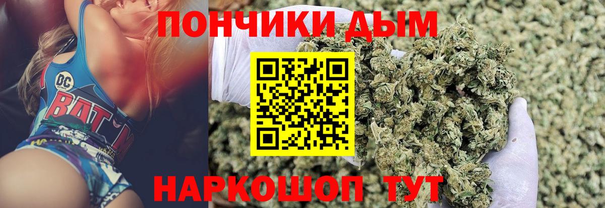 Бошки Шишки конопля Пенза